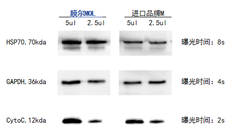 W88优德官网产品推荐：膜尔新材0.45μmPVDF膜—实验数据