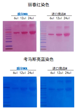 W88优德官网产品推荐：膜尔新材0.45μmPVDF膜—实验数据