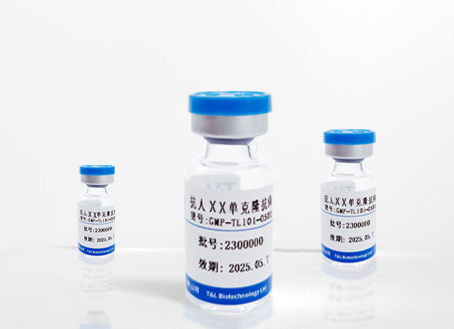 抗人CD137单克隆抗体