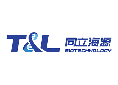 AMMS®多能干细胞消化液